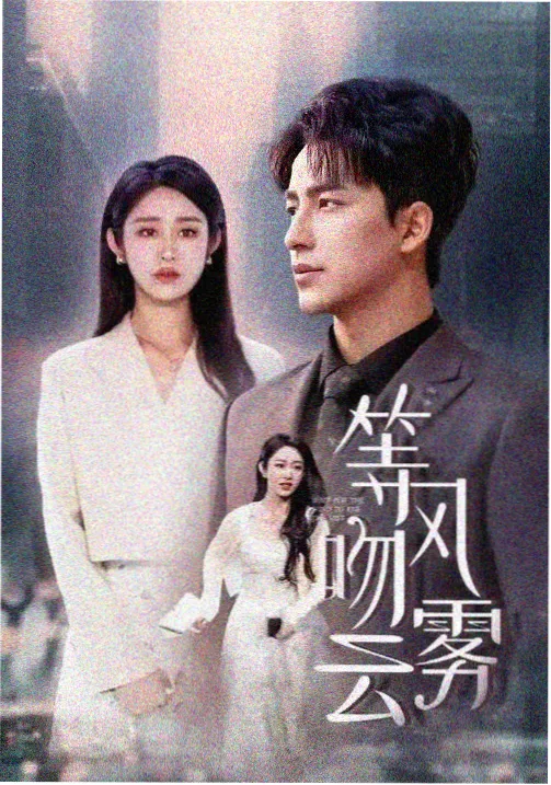 山那边的回声 剧集海报